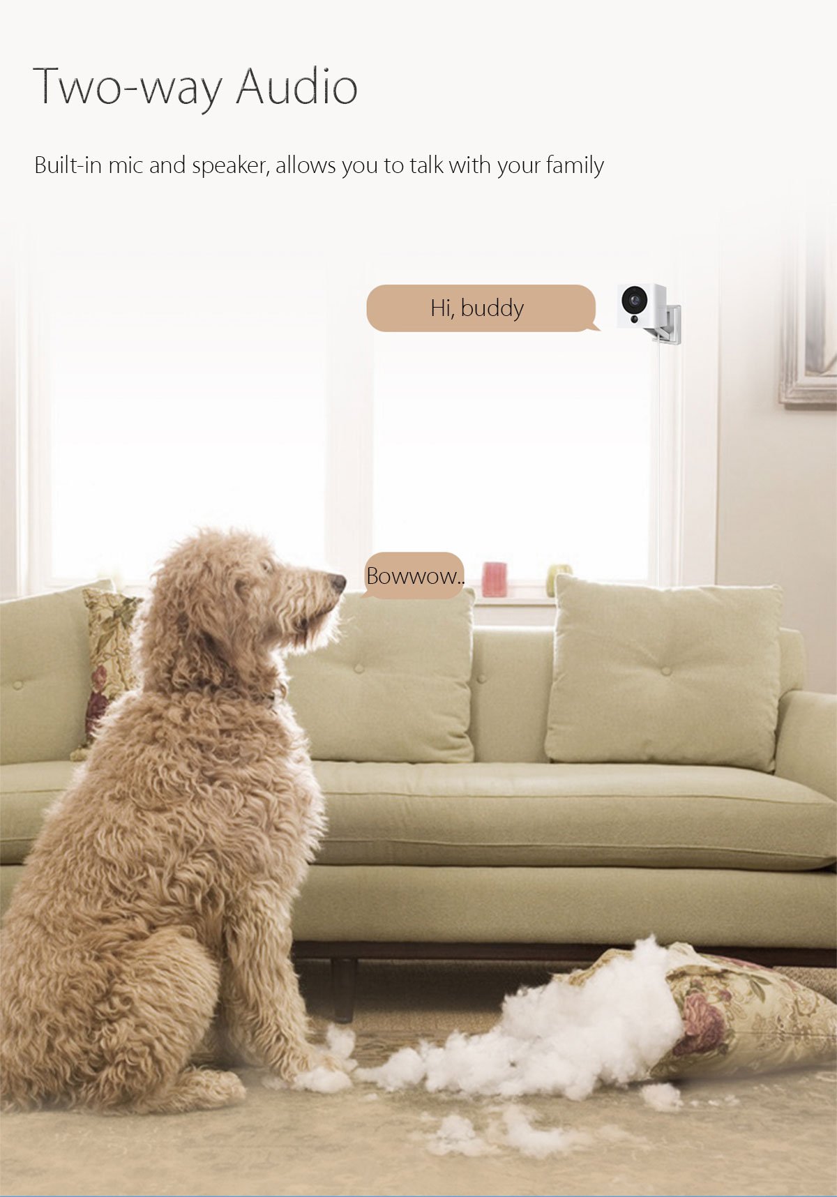 Original Xiaomi xiaofang 1080P Smart WiFi IP Camera Night Vision IR-cut Motion Detection 110 Degree FOV- White and Black