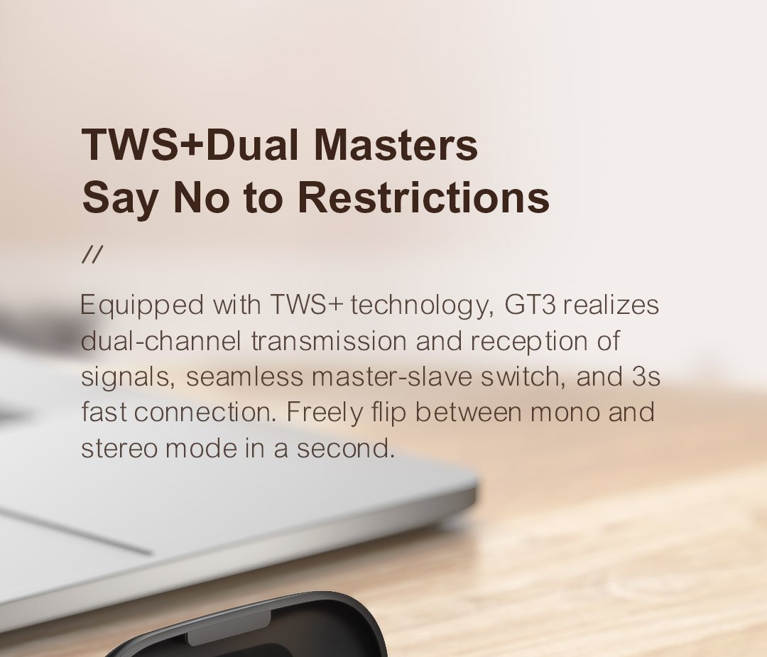 Haylou GT3 TWS Wireless Bluetooth Headphones - Black